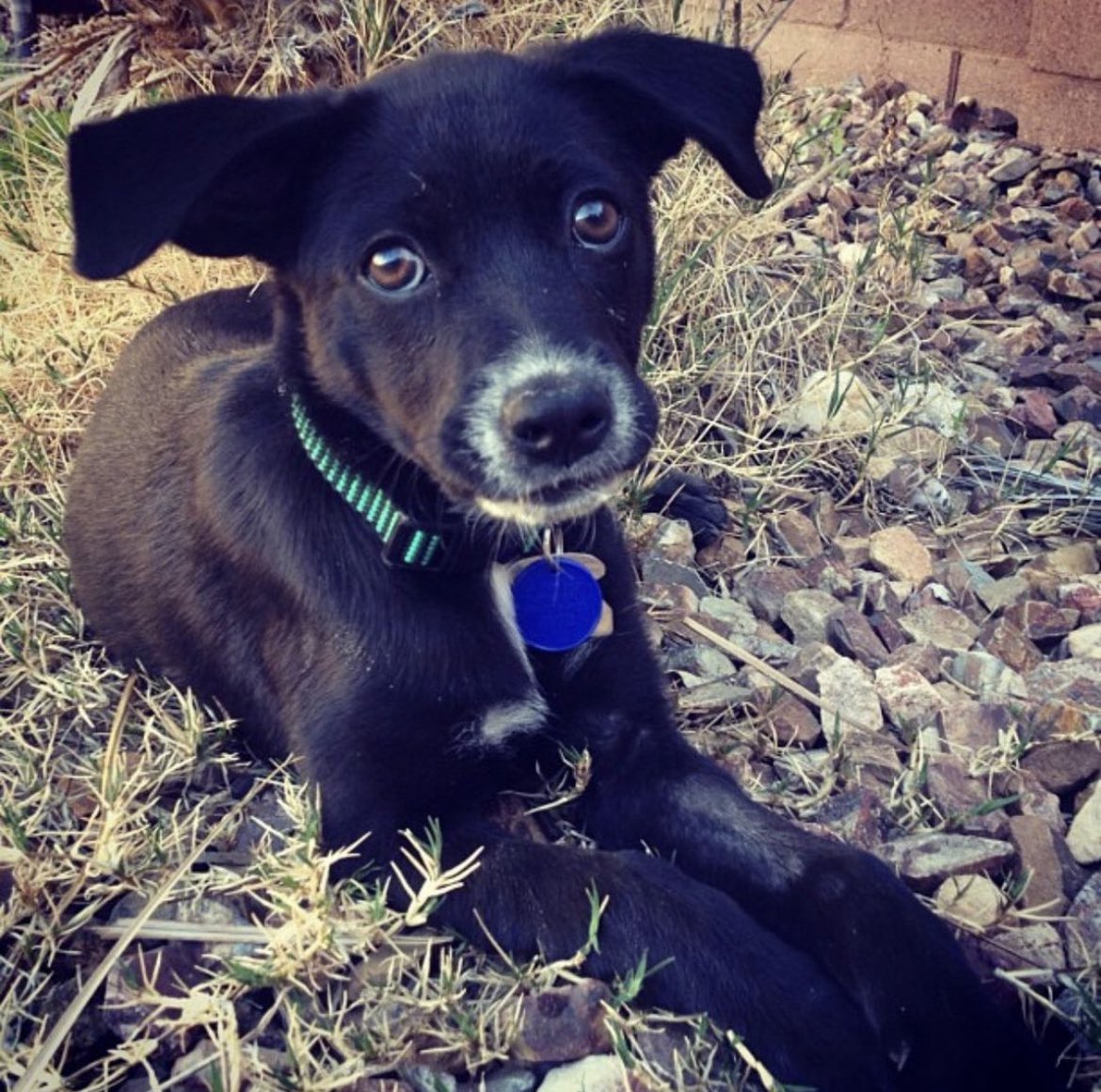 Clintus🌵McGintus tweet media