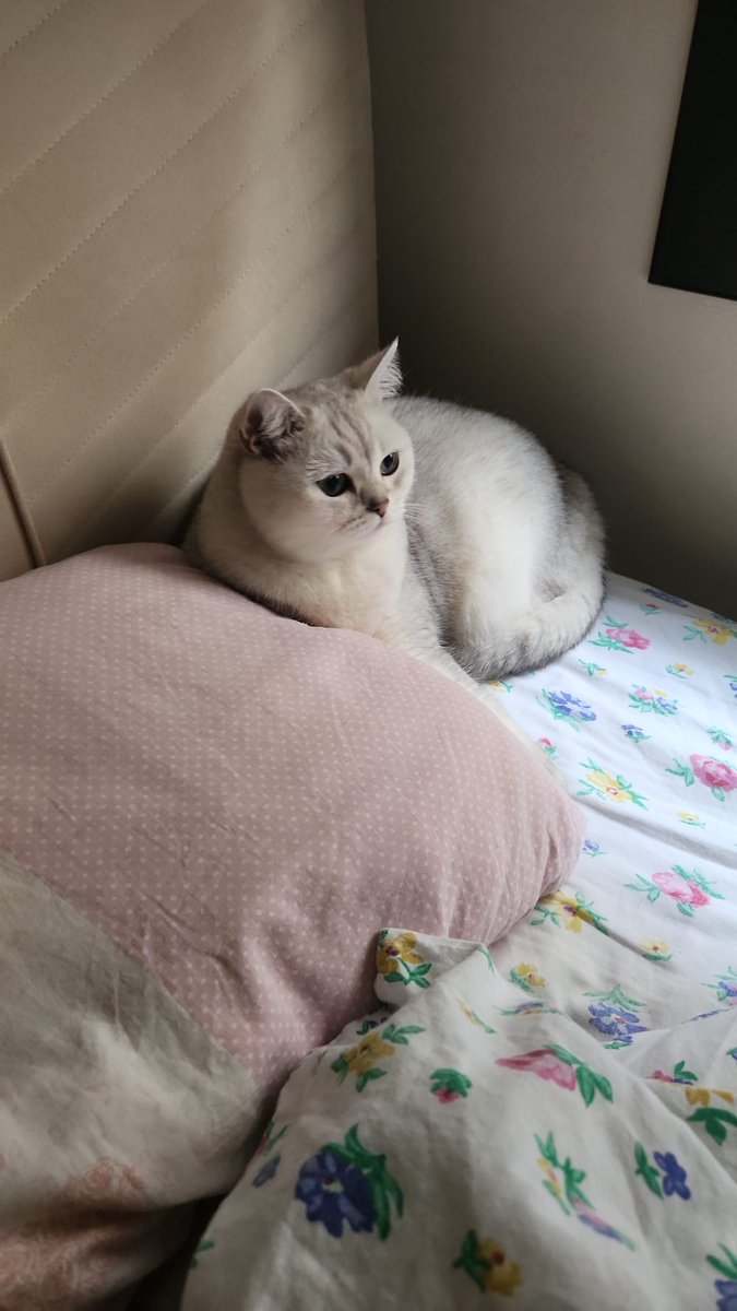 ruru !! 🌟🎈 tweet media