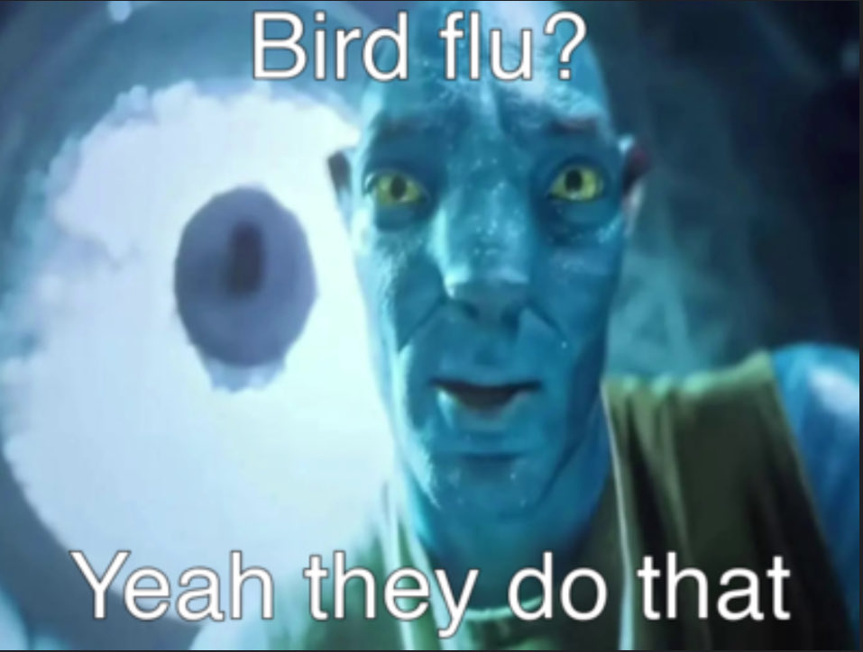 Felka 🏳️⚧️ tweet media