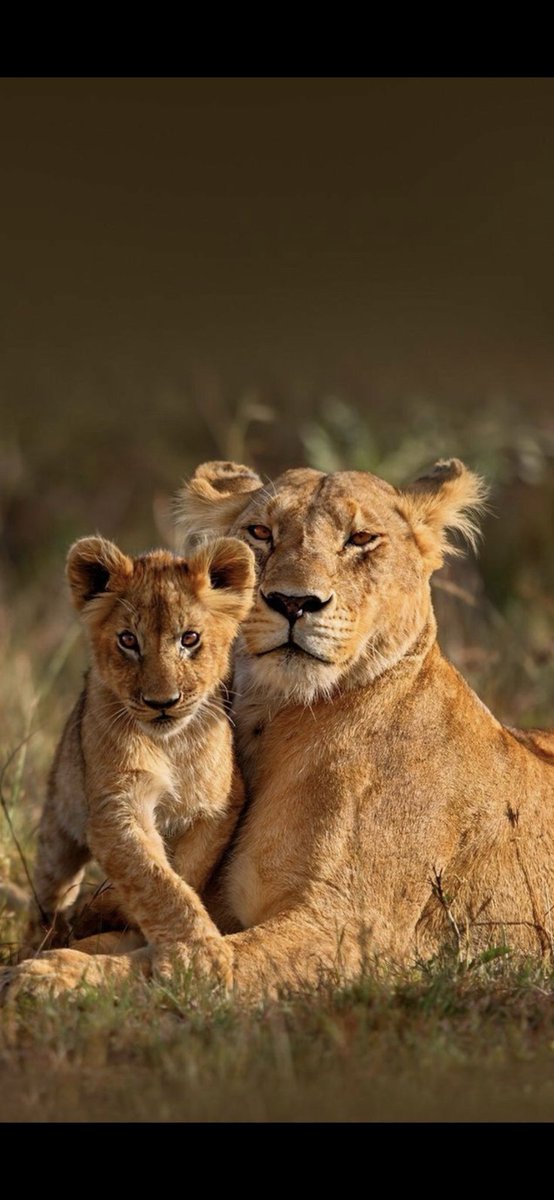 Angela John tweet media