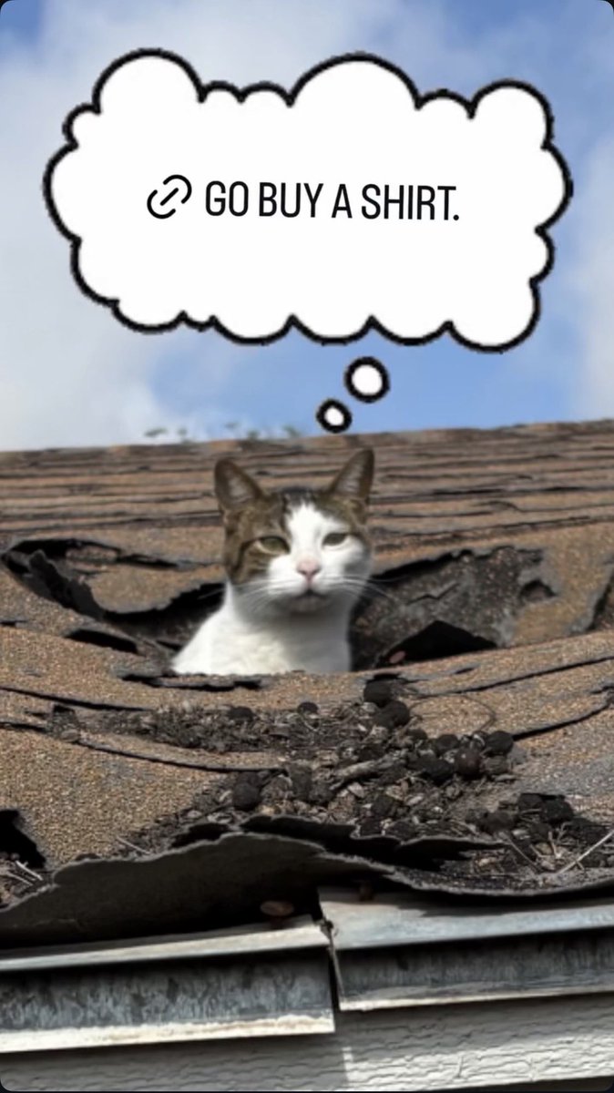 ⚔️Biblically Accurate GiMETZCO!⚔️ tweet media