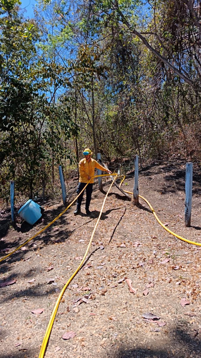 Ministerio de Ambiente y Energía de Costa Rica tweet media