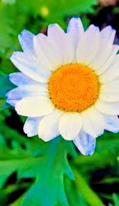 🍒✨のん✨🍒のんちゃん❤︎ポスト📮見てね🍀 tweet media