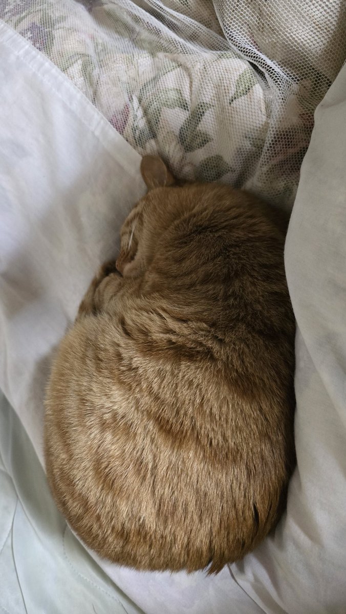 DxSxKxIx tweet media