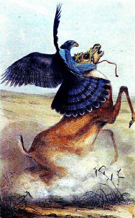 The Great Wild tweet media