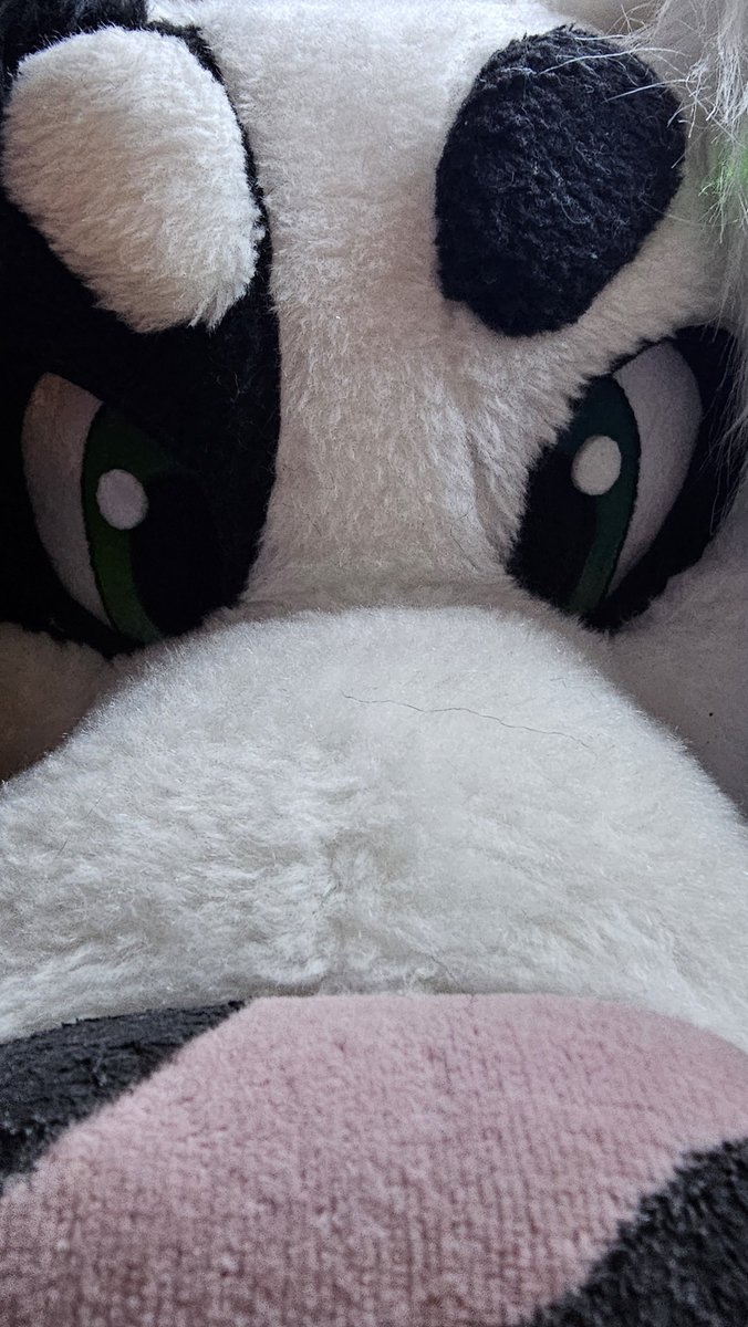 ❄️Wreniall❄️ΘΔ 🔜 LVFC tweet media