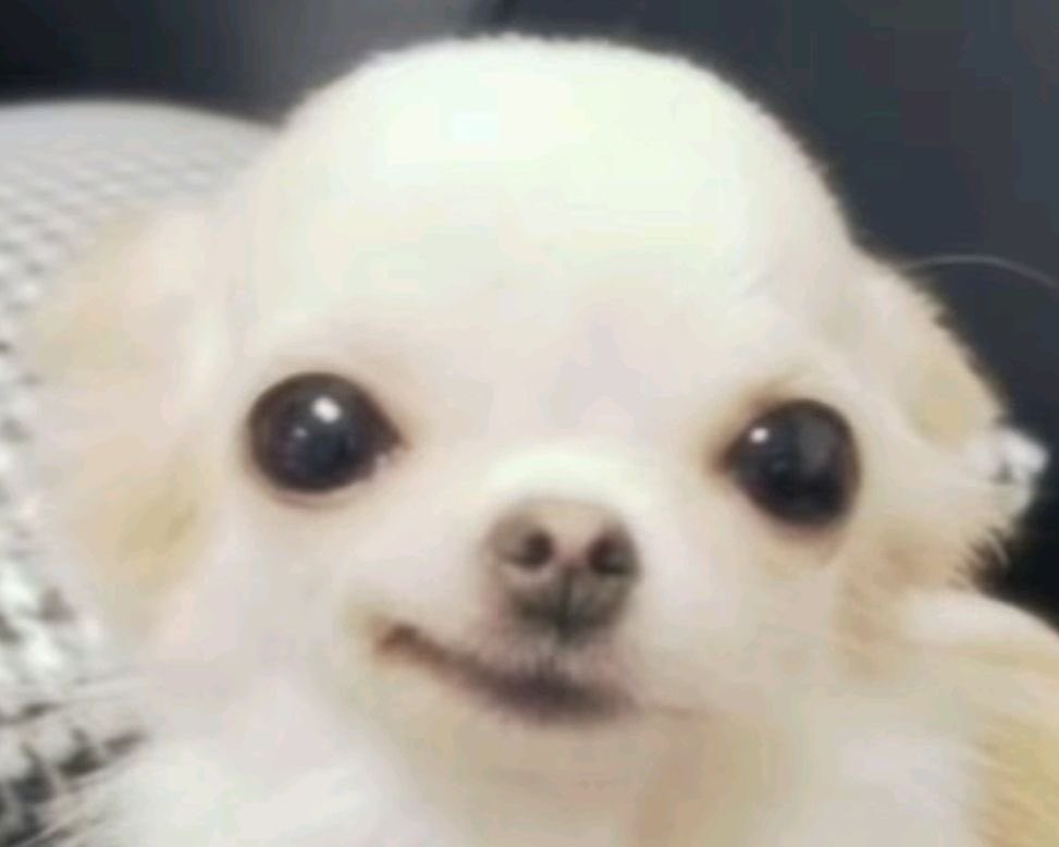 babybiels's tweet photo. #ButchLover idciecidxidcidcidcidcidcidc https://t.co/uOfkSRXtte