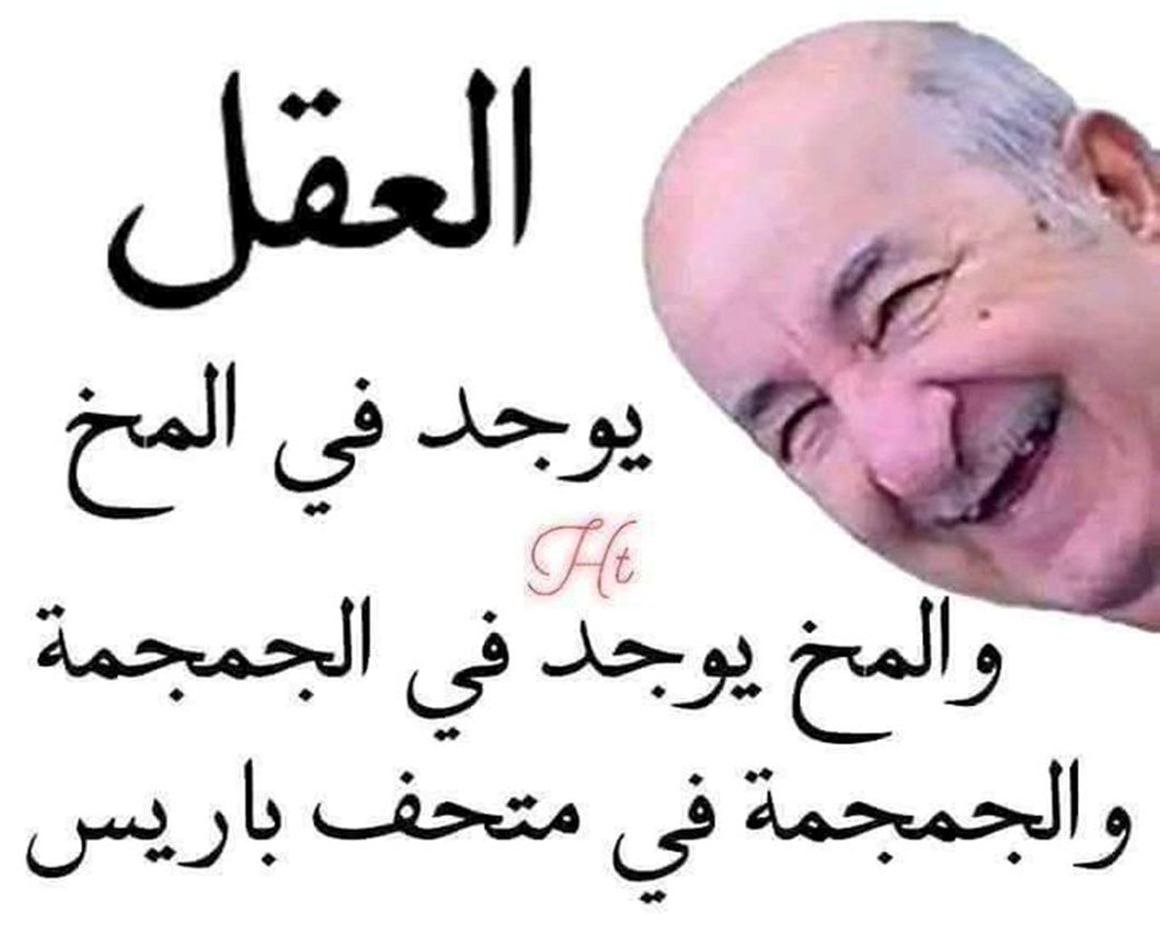 Free spirit tweet media