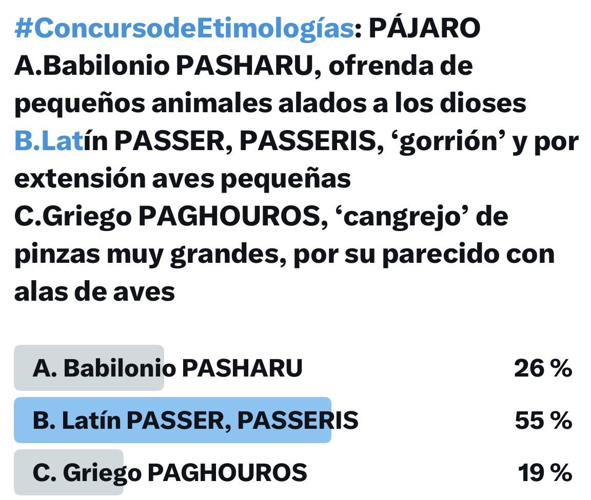 Neferchitty tweet media