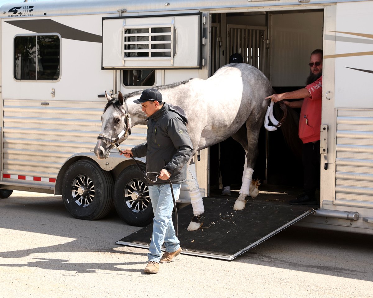 KyHBPA's tweet photo. That time of the year! @BradCoxRacing horses showing up at @ChurchillDowns including @TurfwayPark's gray #JeffRuby winner Fulleffort &amp; @fairgroundsnola Oaks winner Life of Joy. @CoadyMedia photos https://t.co/LjX1ErldEb