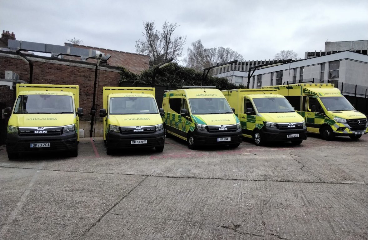 Israel Heritage Foundation tweet media