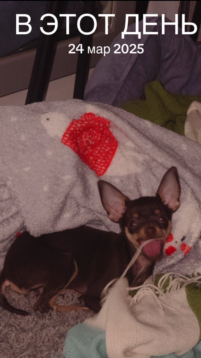 нюся через $$$ tweet media