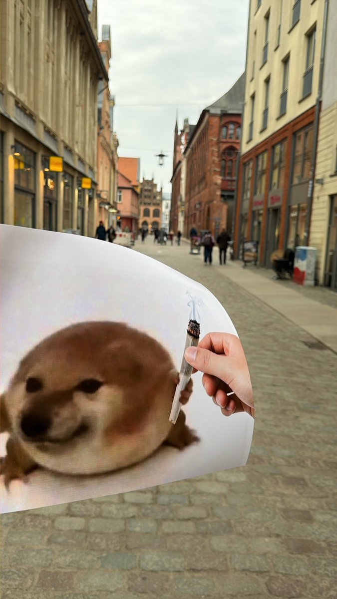 MemeGod 🪖 tweet media