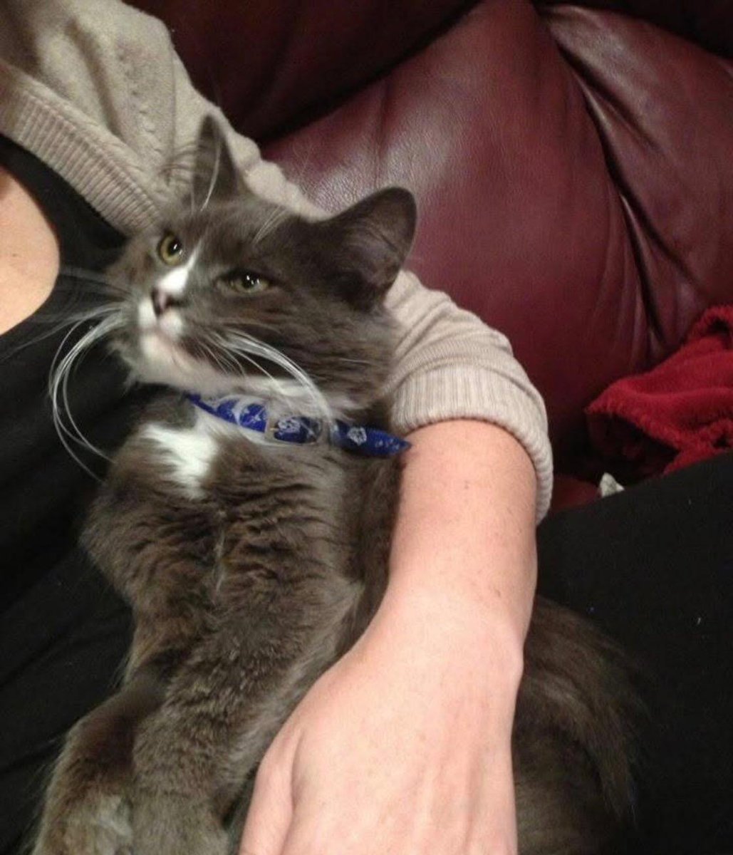 Sara Mary ⭐❤️ tweet media