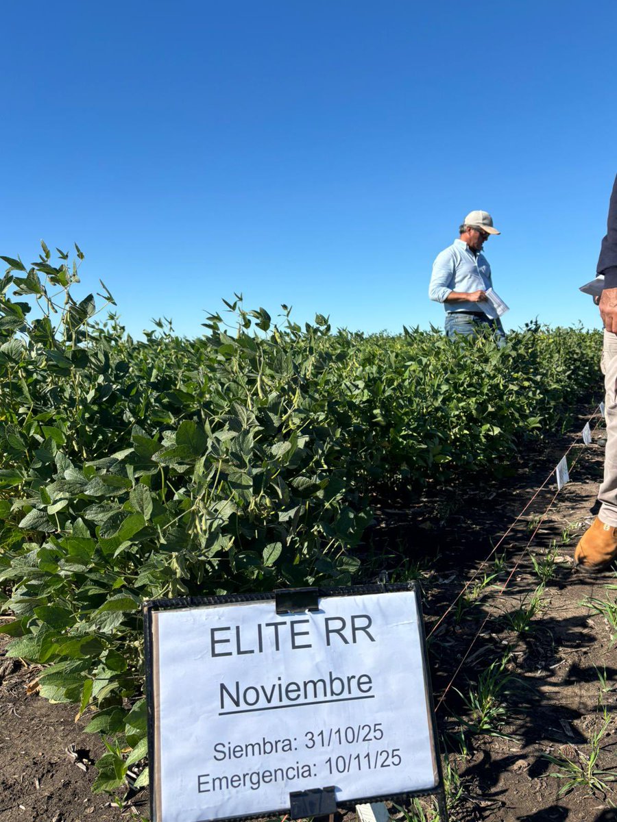 Semillas Génesis tweet media