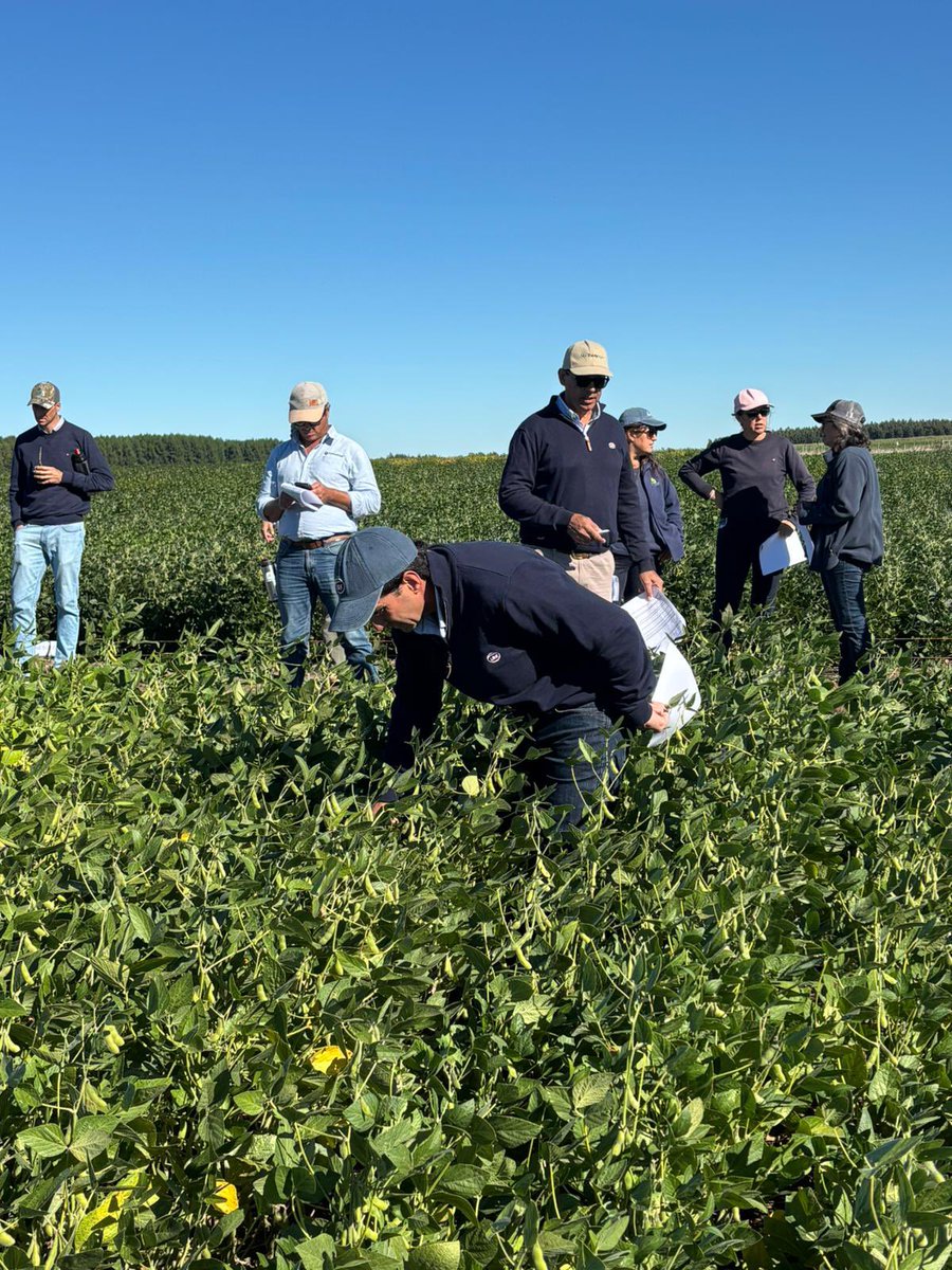 Semillas Génesis tweet media