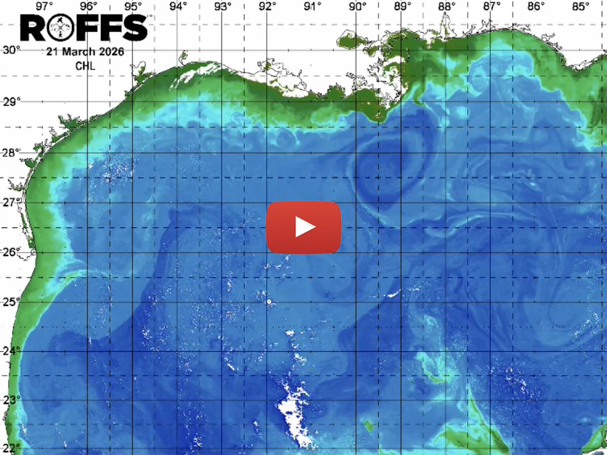 Be sure to check out our YouTube channel for our latest Gulf of America (Mexico) ocean conditions update.

youtube.com/watch?v=nAT7Vs…

#ROFFS #ROFFSFishing #gulfofmexicooceanconditions #gulfofmexicofishing #gulfofmexicoupdate #gulfofamericaoceanconditions #gulfofamericafishing