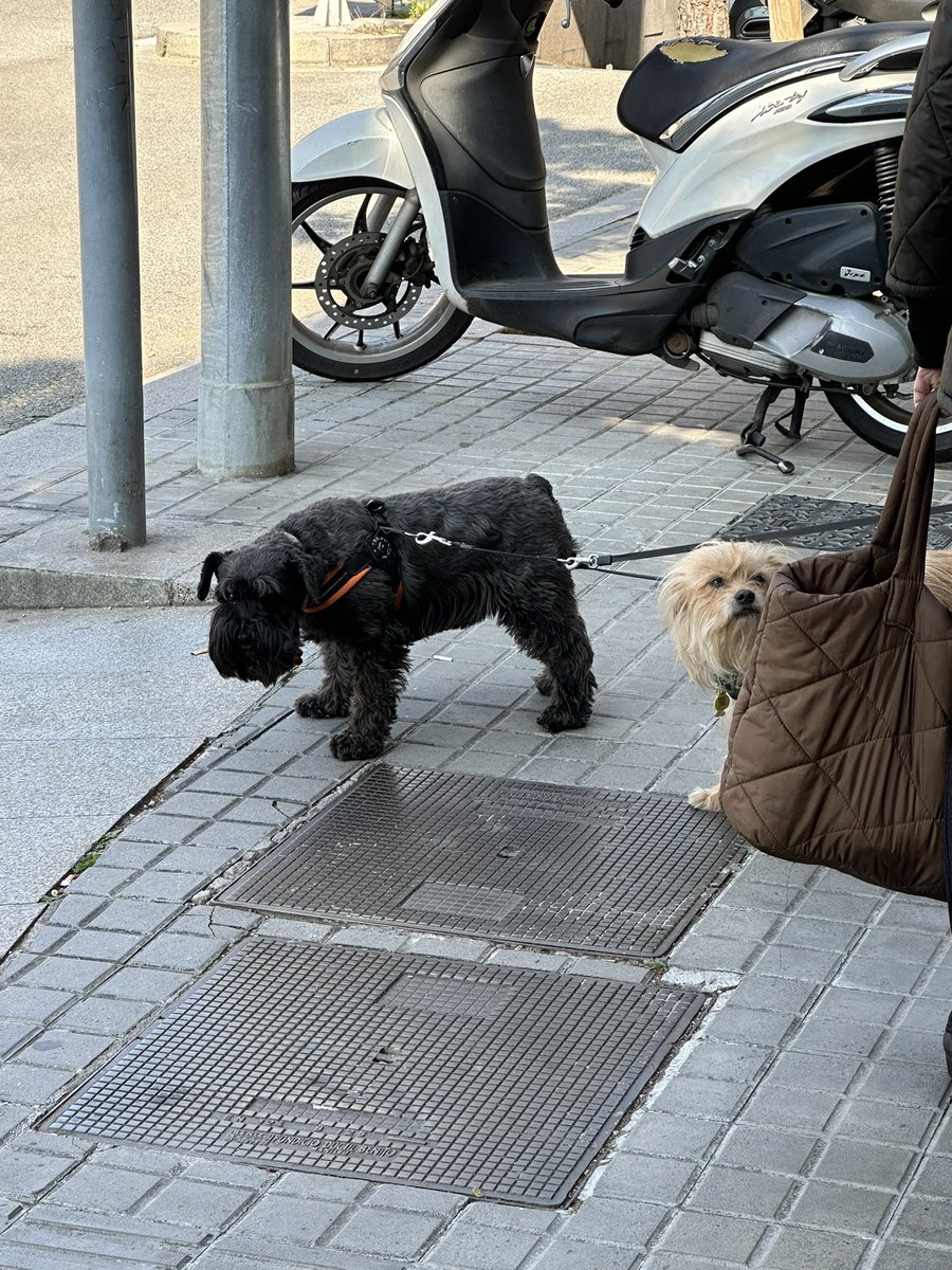 Лера tweet media