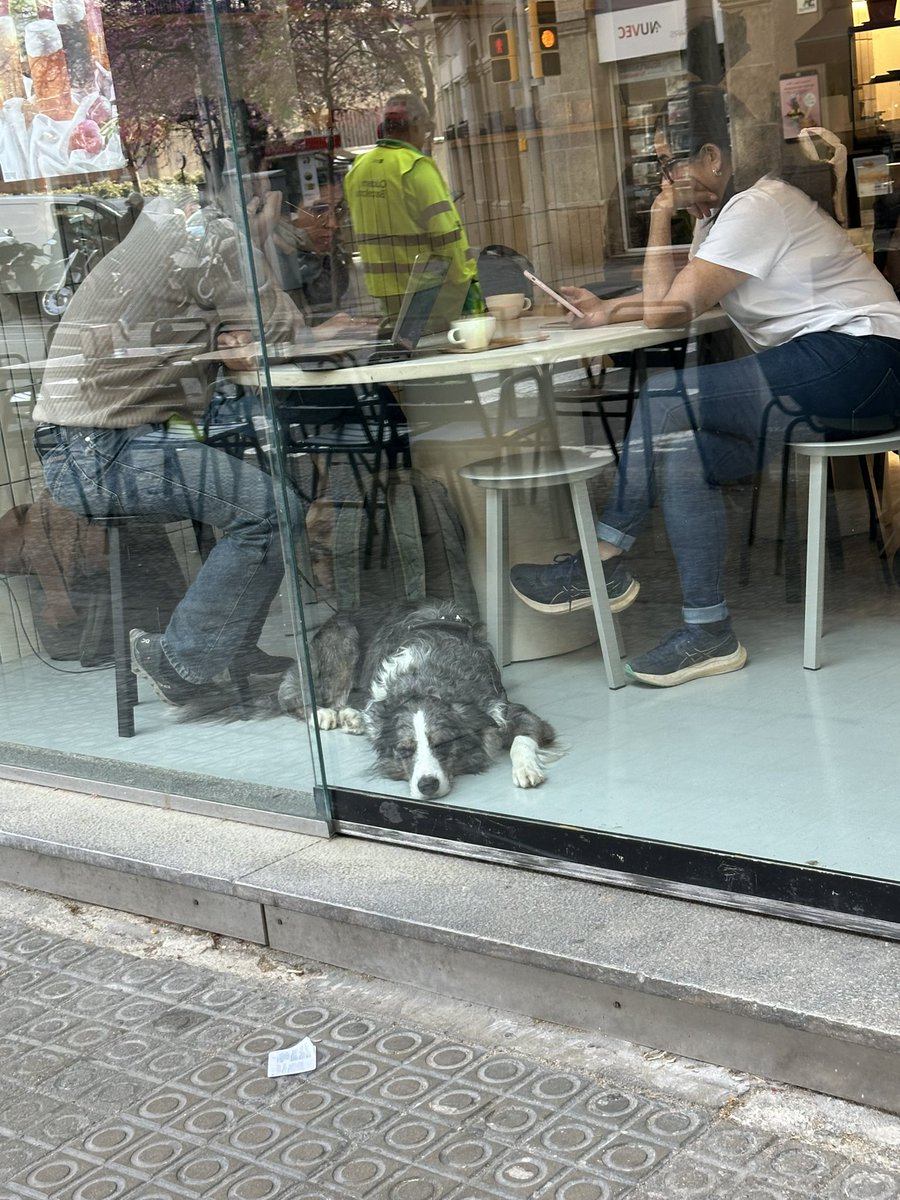 Лера tweet media