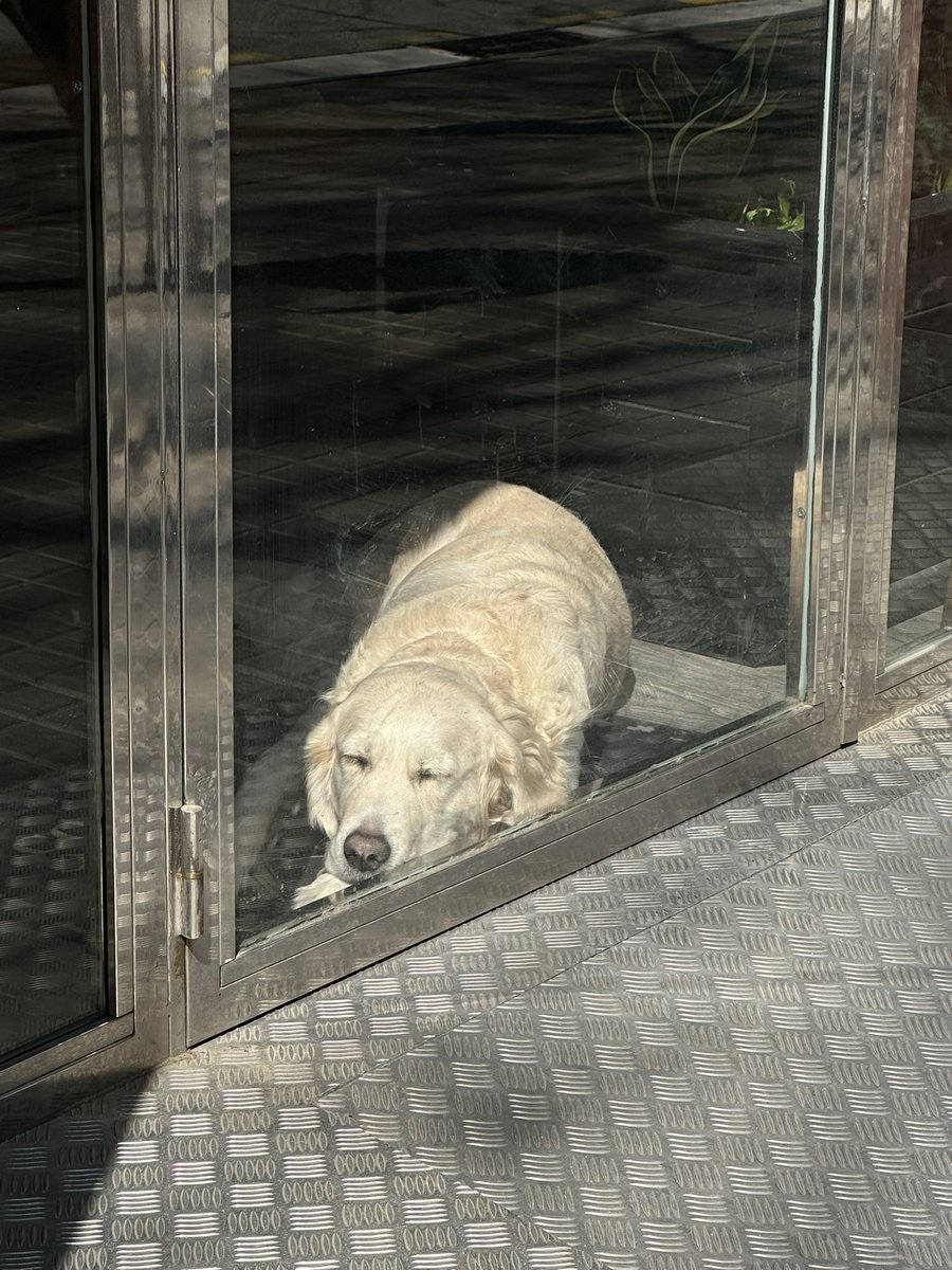 Лера tweet media