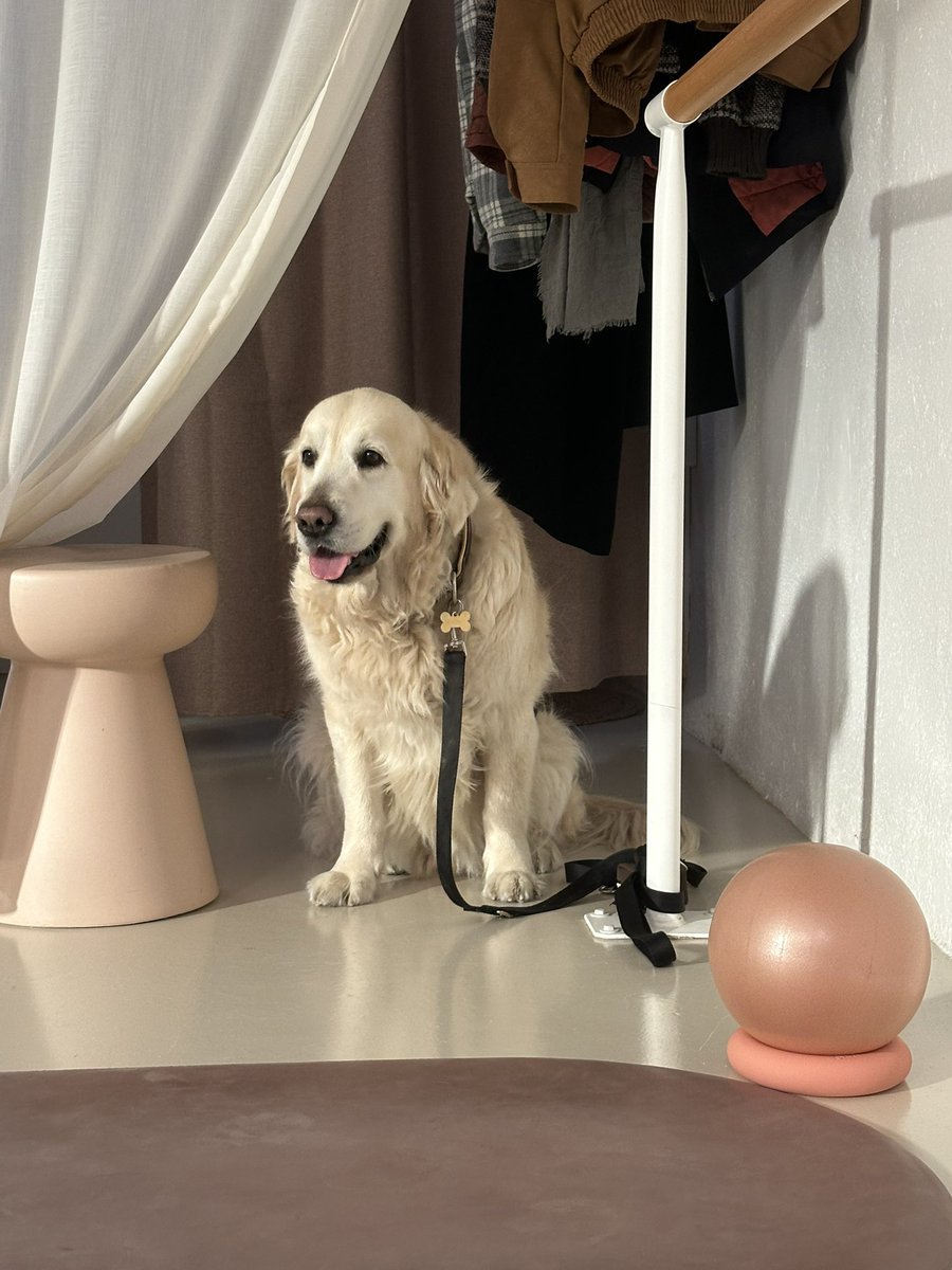 Лера tweet media