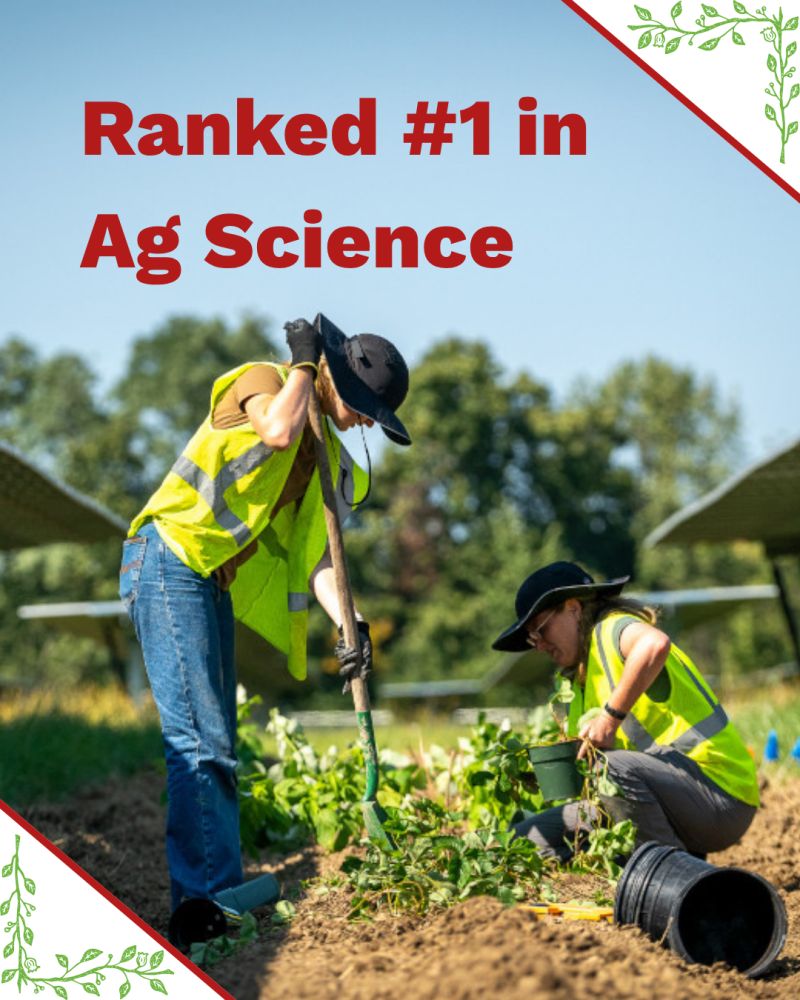 Cornell CALS tweet media