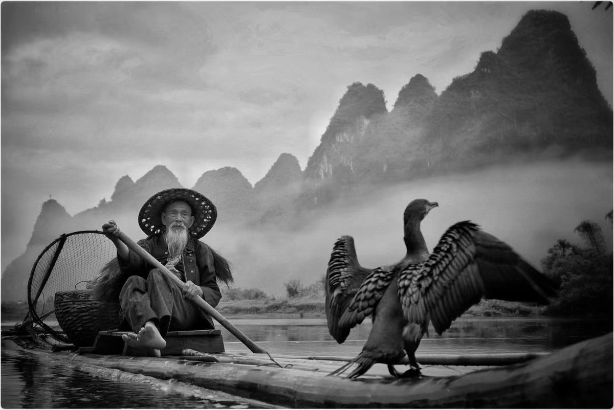 Debbie Milligan tweet media