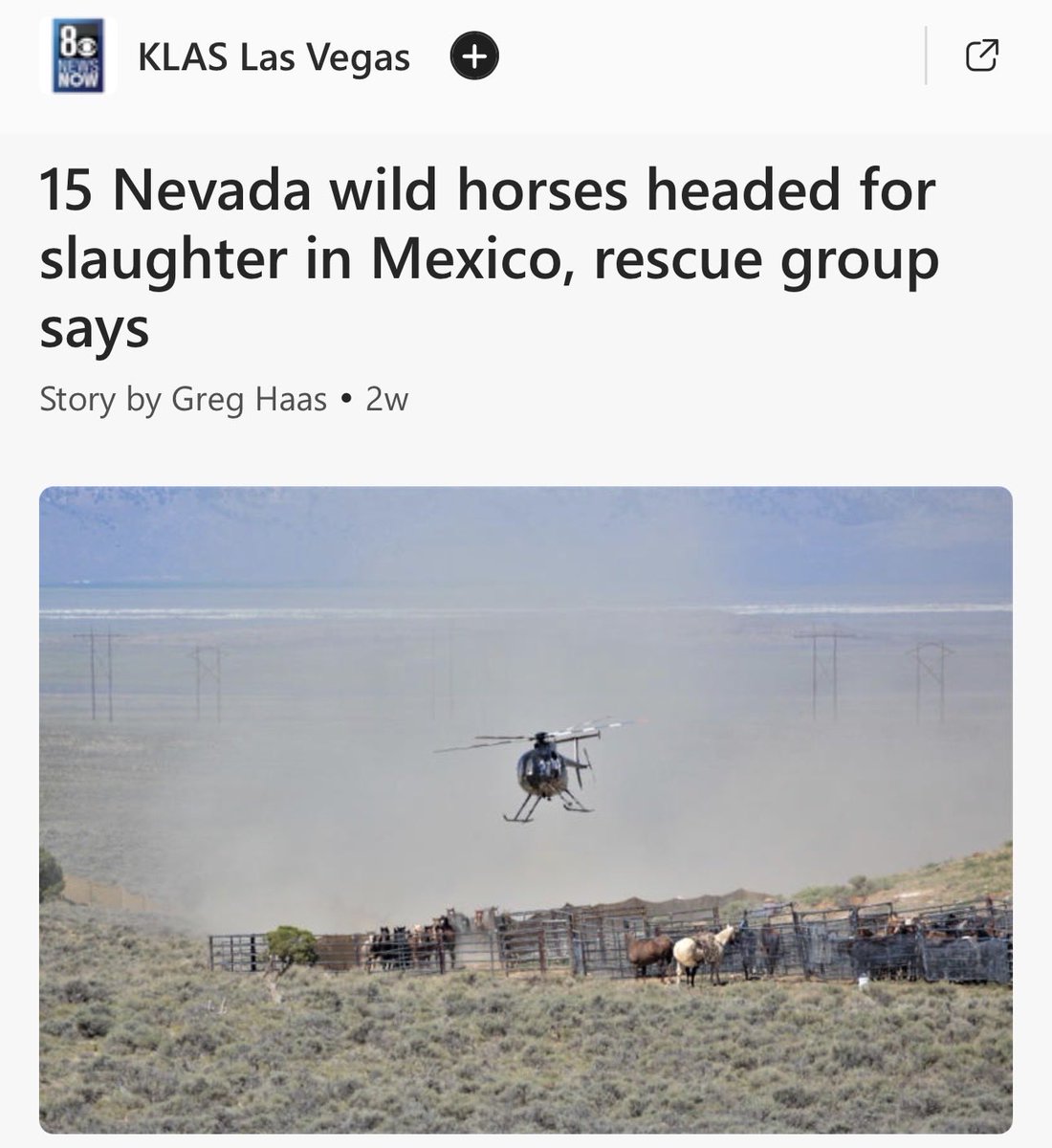 Skydog Sanctuary tweet media