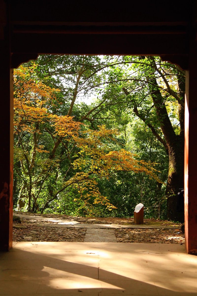 INTERCESSORES tweet media