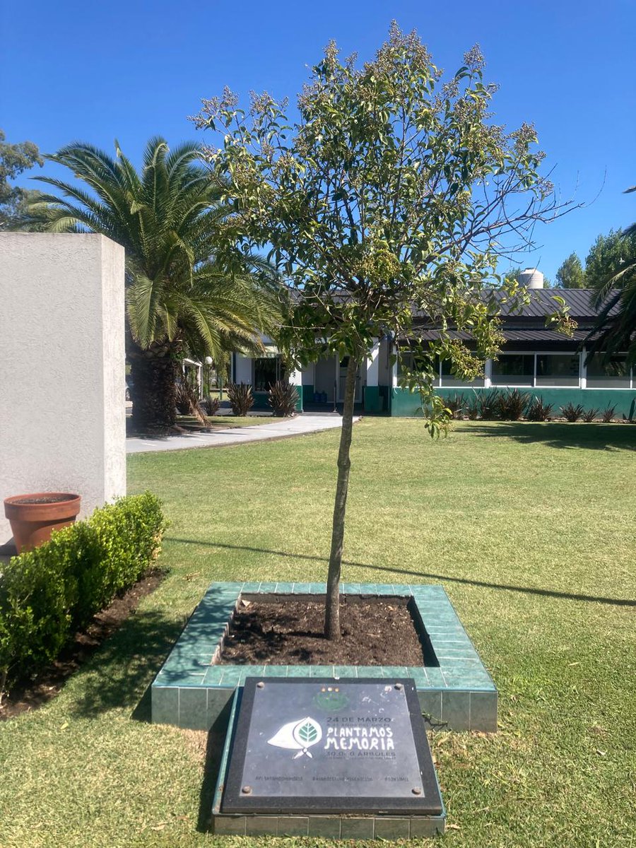 casdcamioneros's tweet photo. 🇦🇷 #PlantamosMemoria #NuncaMás 🇦🇷
✅ Hoy recordamos el 24 de marzo plantando memoria, compromiso y futuro.
🌱En nuestro club también decimos presente, porque la memoria se construye todos los días. https://t.co/Xanr5HlXmg