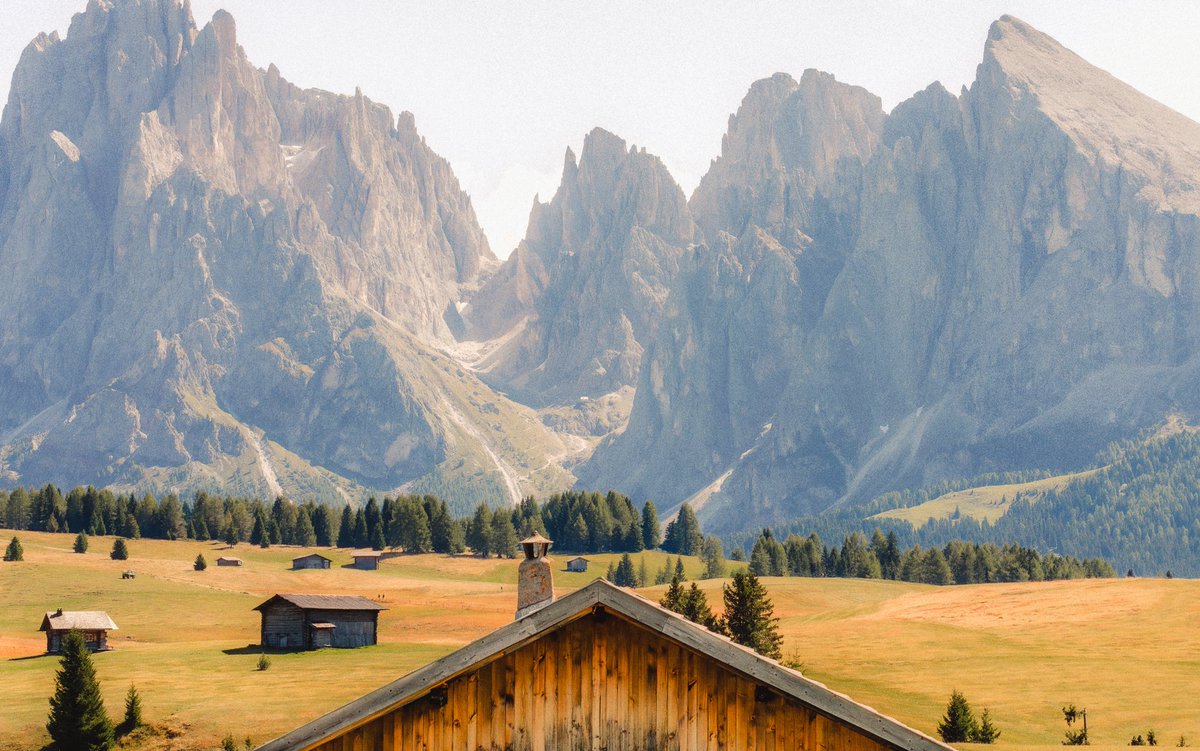 Jeff Mihaly tweet media