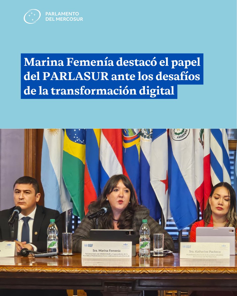 Parlamento MERCOSUR tweet media