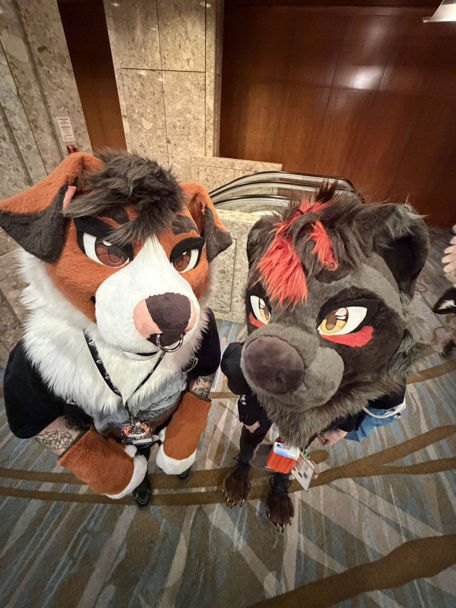 TANUKI PROPAGANDIZER | COMMS (0/3) tweet media