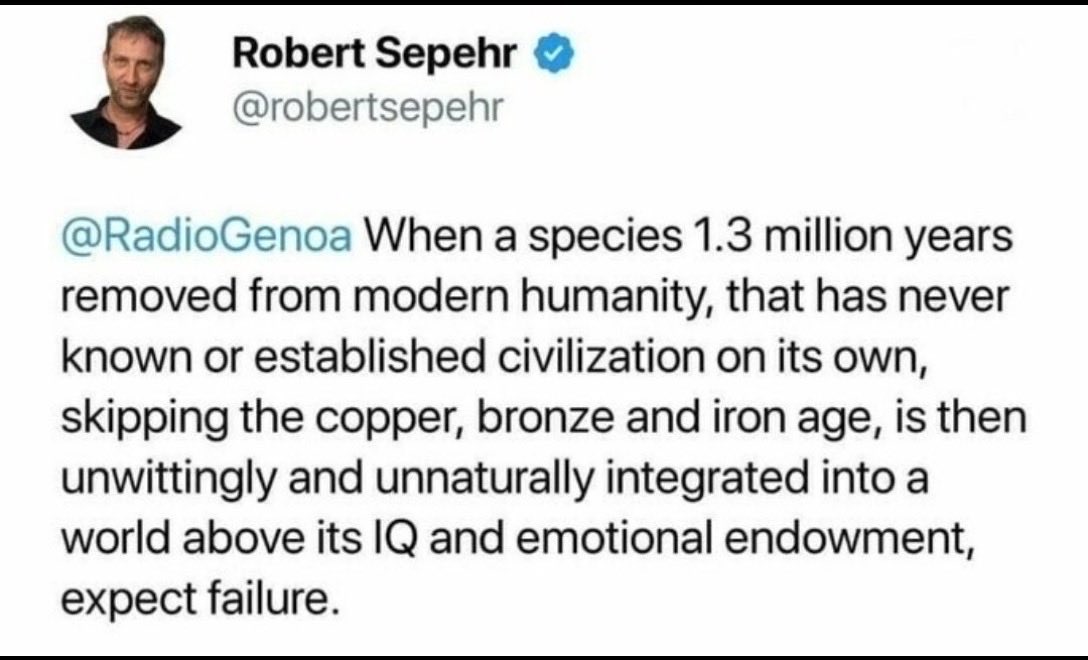 The Kitty Man tweet media