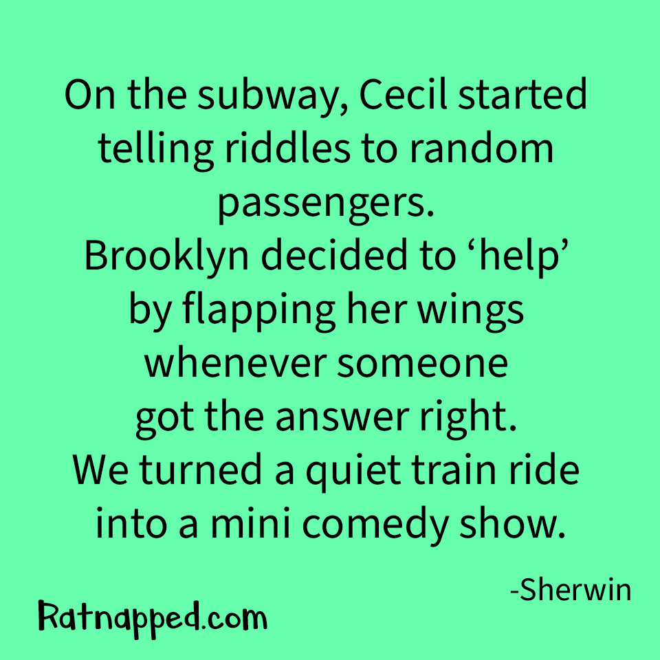 Ratnapped_Book's tweet photo. Little updates, big stories—read now!
#Ratnapped #ChildrensBooks #BedtimeStories #KidsBooks #IndieAuthor #FamilyReading https://t.co/FGMu3VKRUR