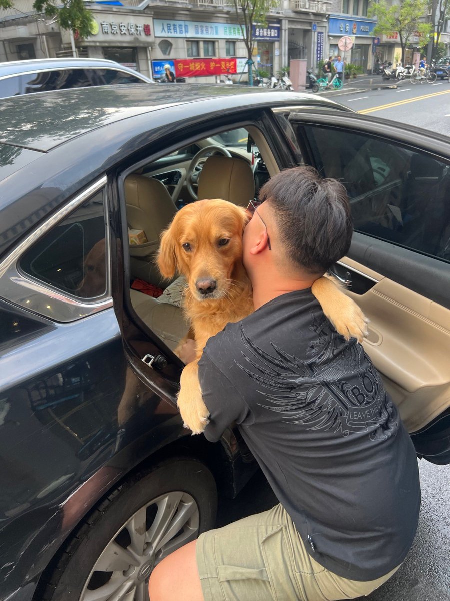 Lynn Firestone tweet media