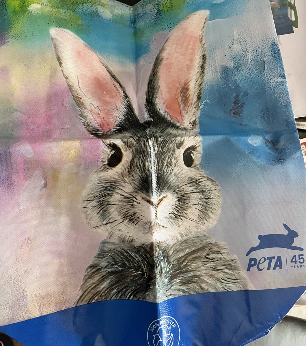 Lilly Myers 🎃🖤🦇💋 tweet media