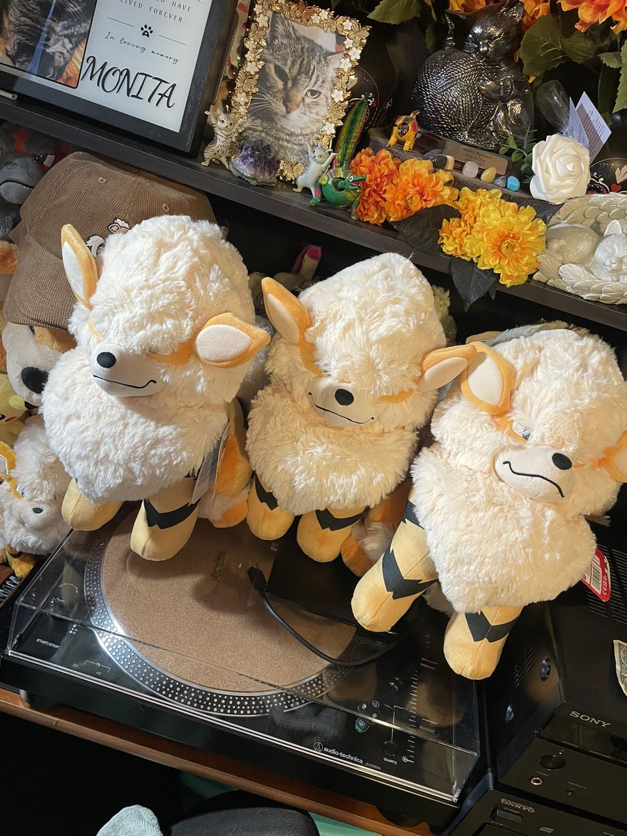 🌹👑AlejandroGSD👑🌹 tweet media