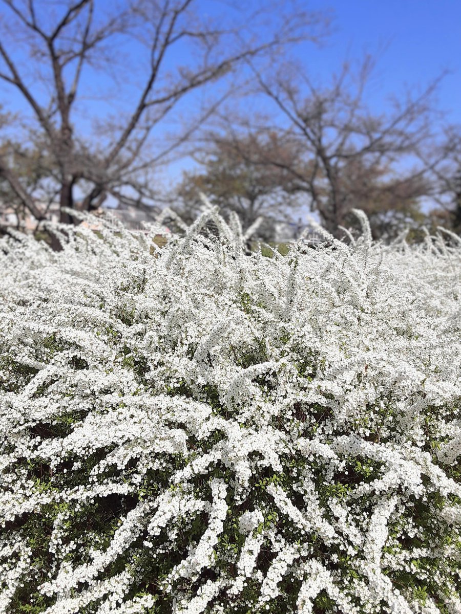 HIRO🐅 tweet media