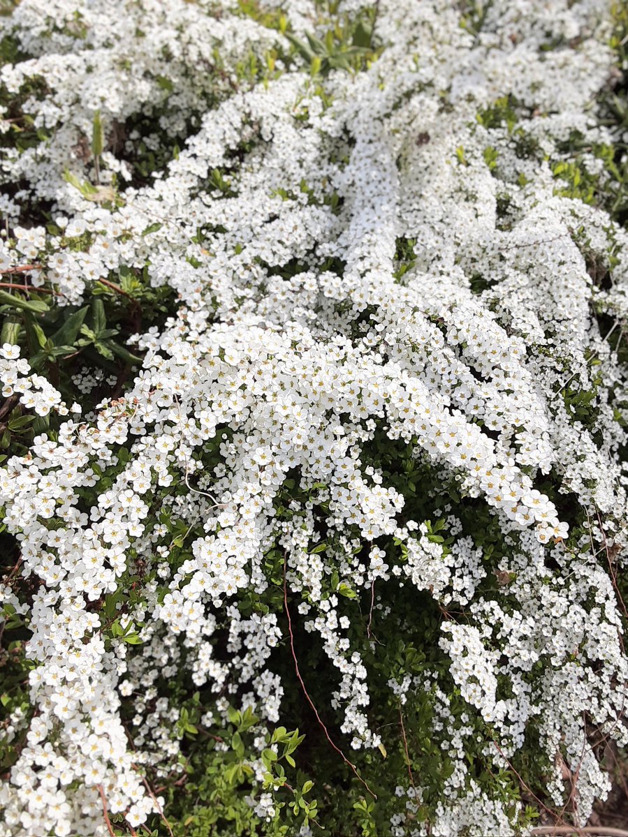 HIRO🐅 tweet media