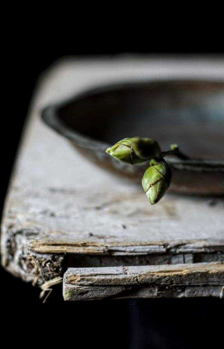 literland tweet media