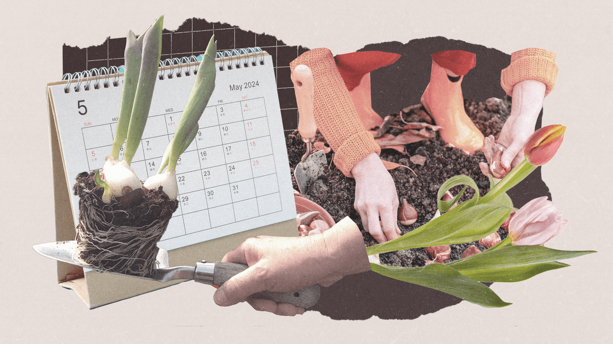 Katherine Figueroa tweet media