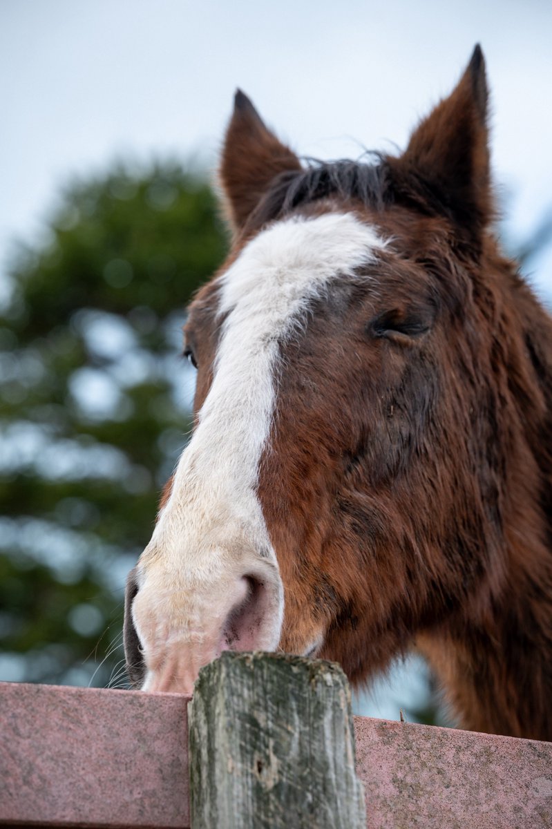 まりっぺ@うま tweet media