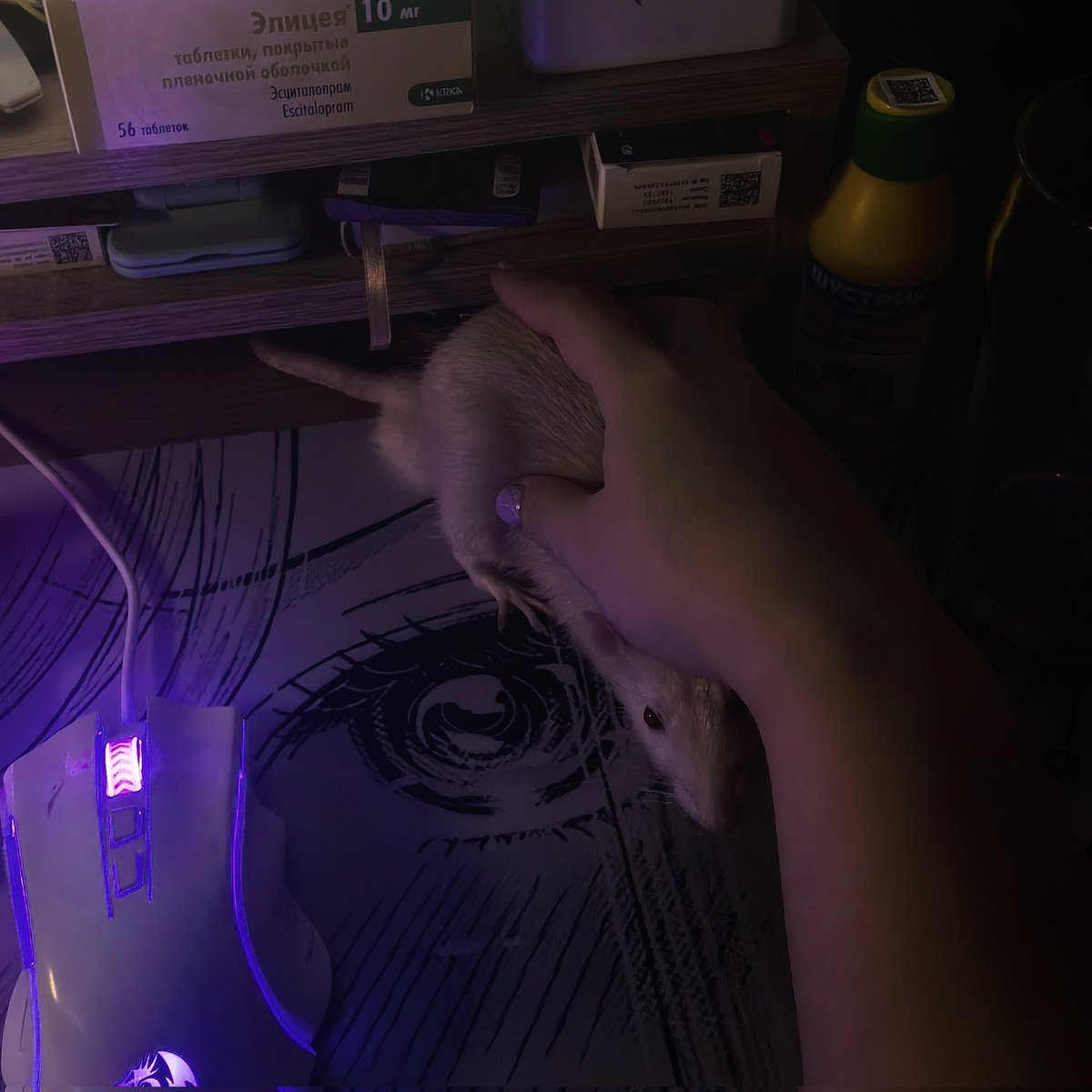 OWLMarinaD tweet media