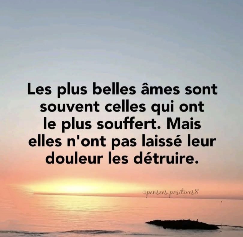 Sagesse Pure tweet media