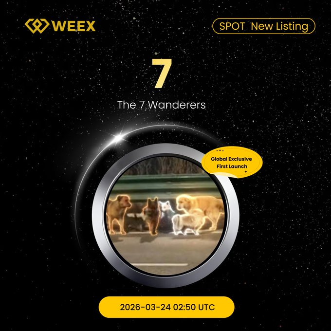 WEEX Italian tweet media