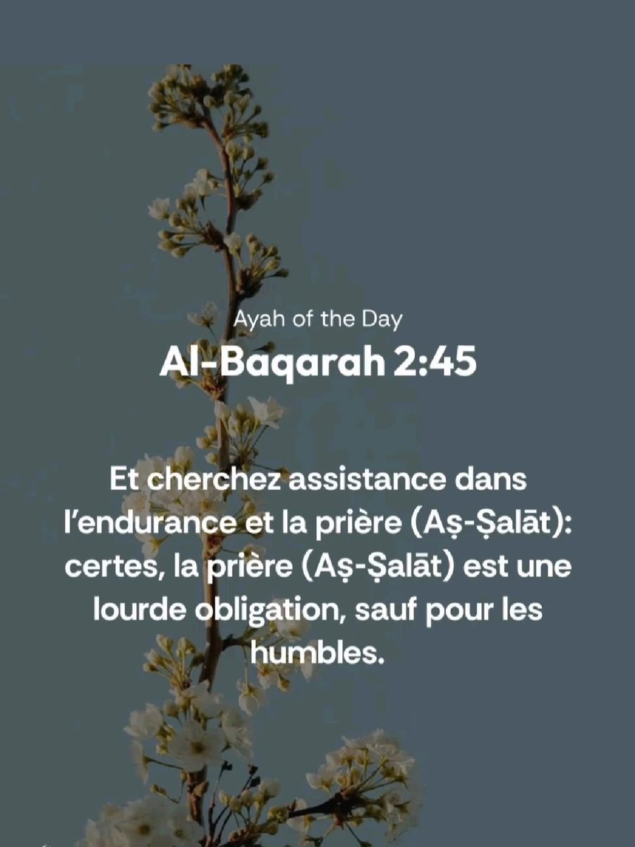 Muhammad tweet media