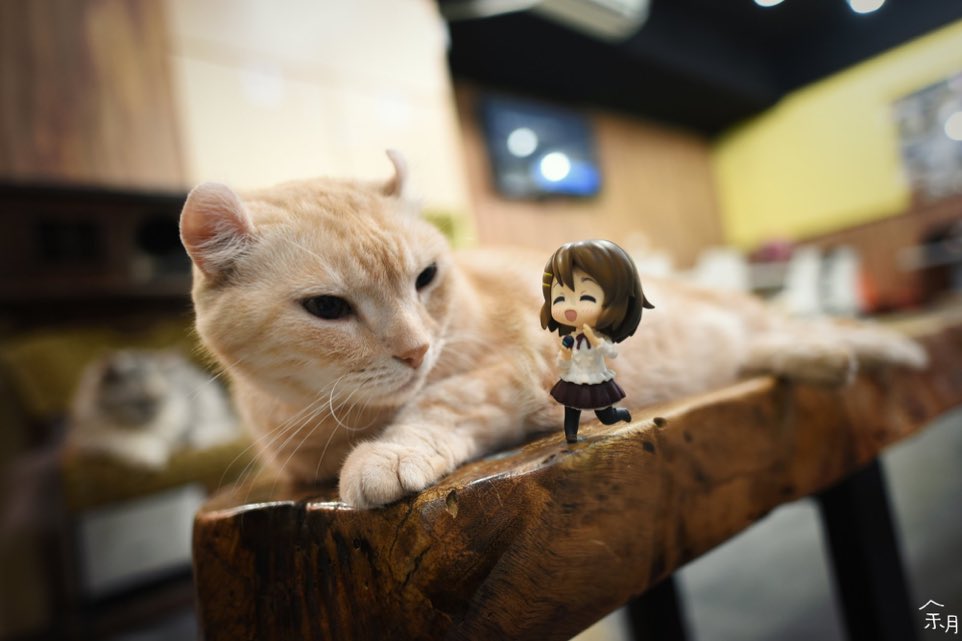 Daily K-ON! tweet media