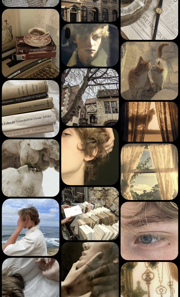 𐙚 venus tweet media