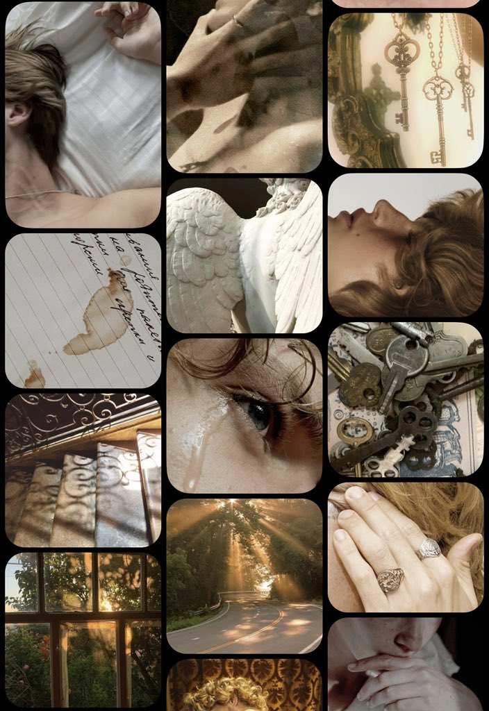 𐙚 venus tweet media